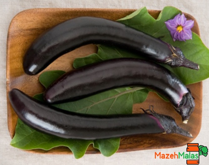  بادمجان شکم پر